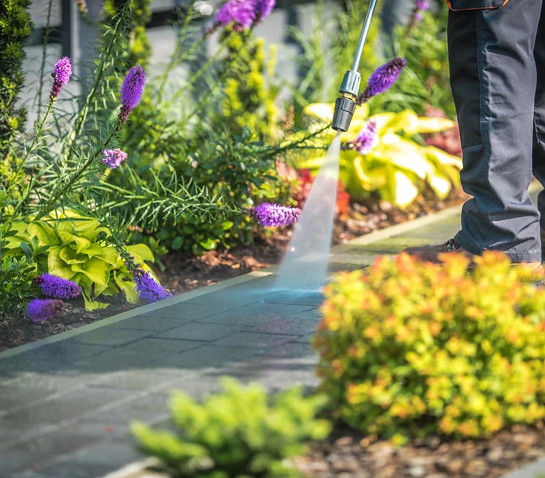 pathway and driveway cleaning