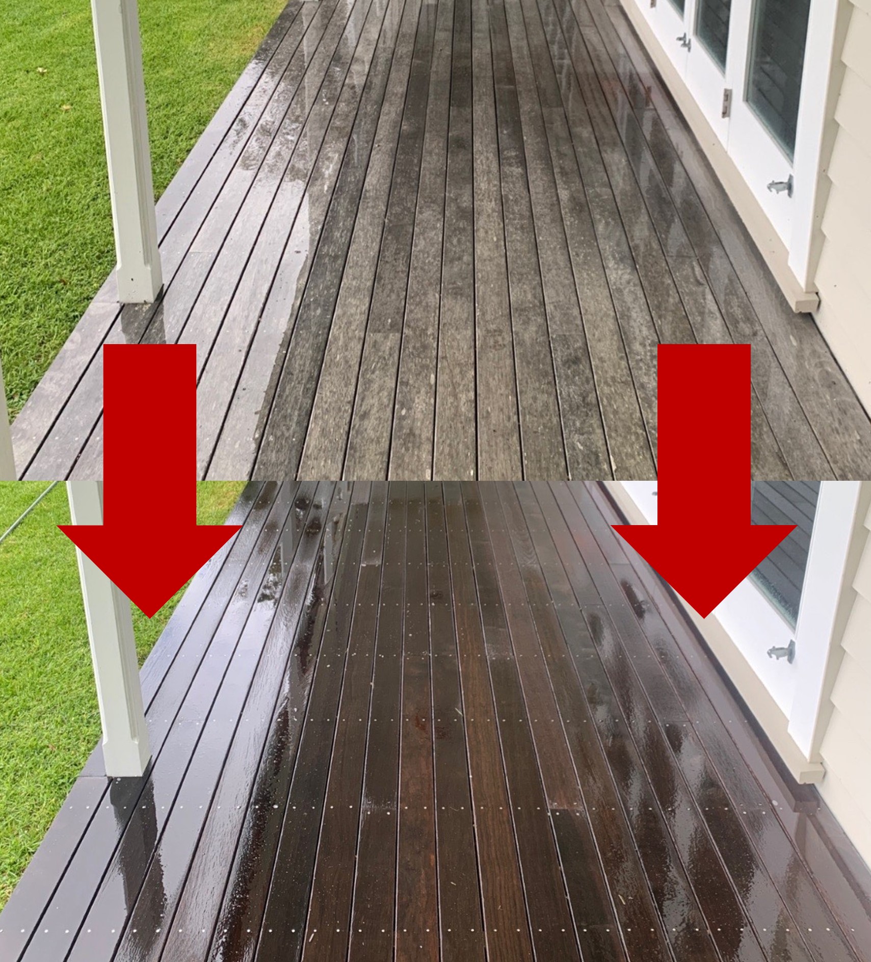 Deck and Fence cleaning
