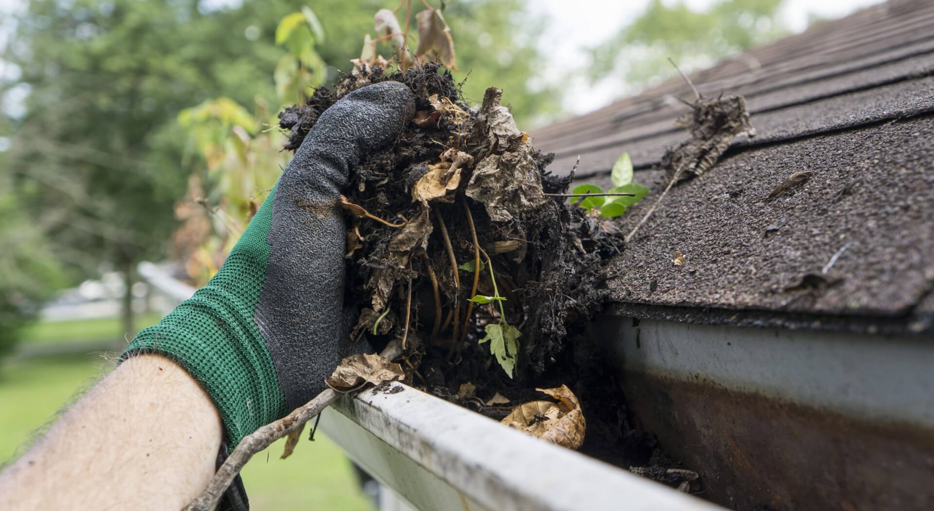 Gutter cleaning